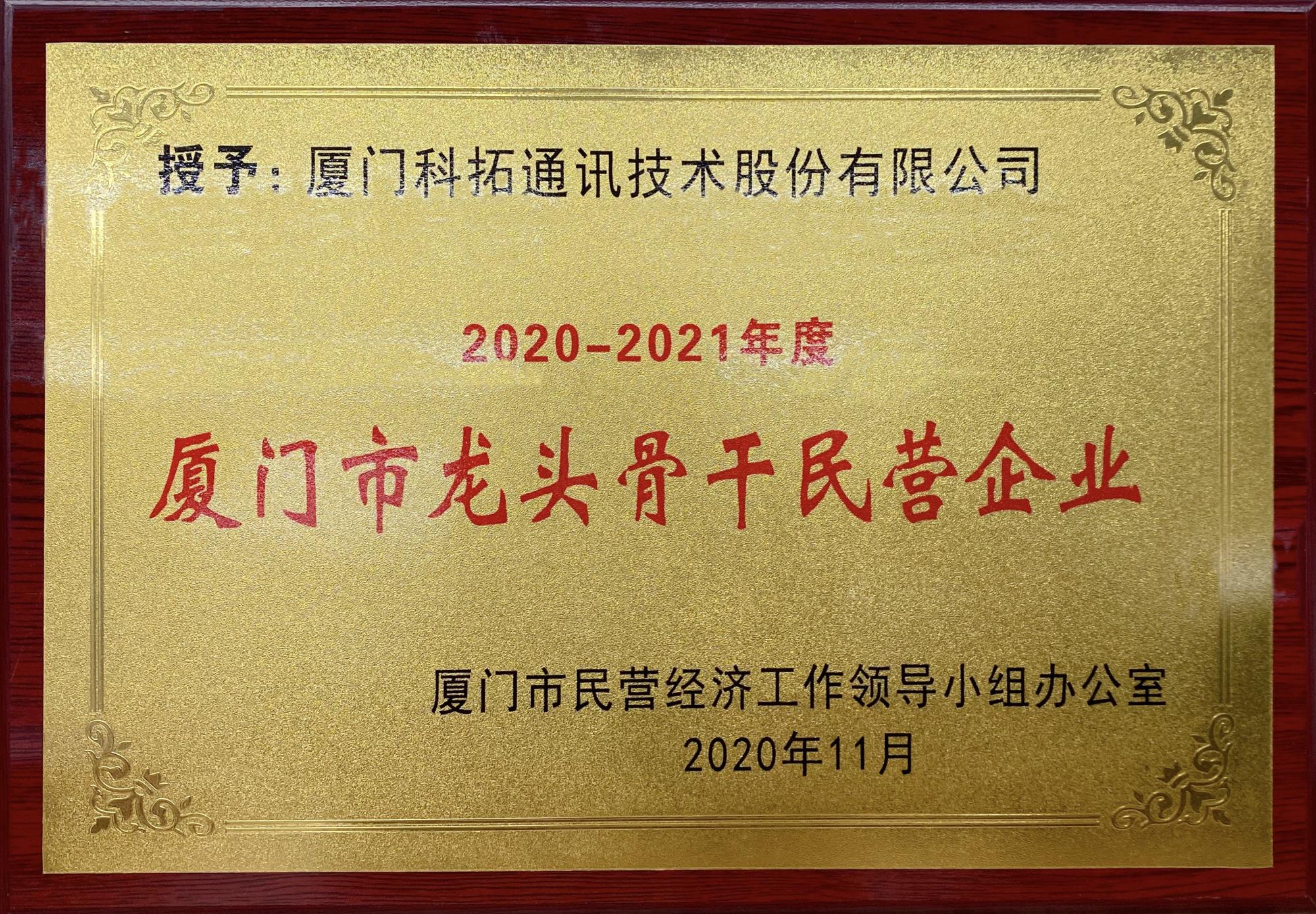 2020-2021年度廈門(mén)市龍頭骨干民營(yíng)企業(yè)